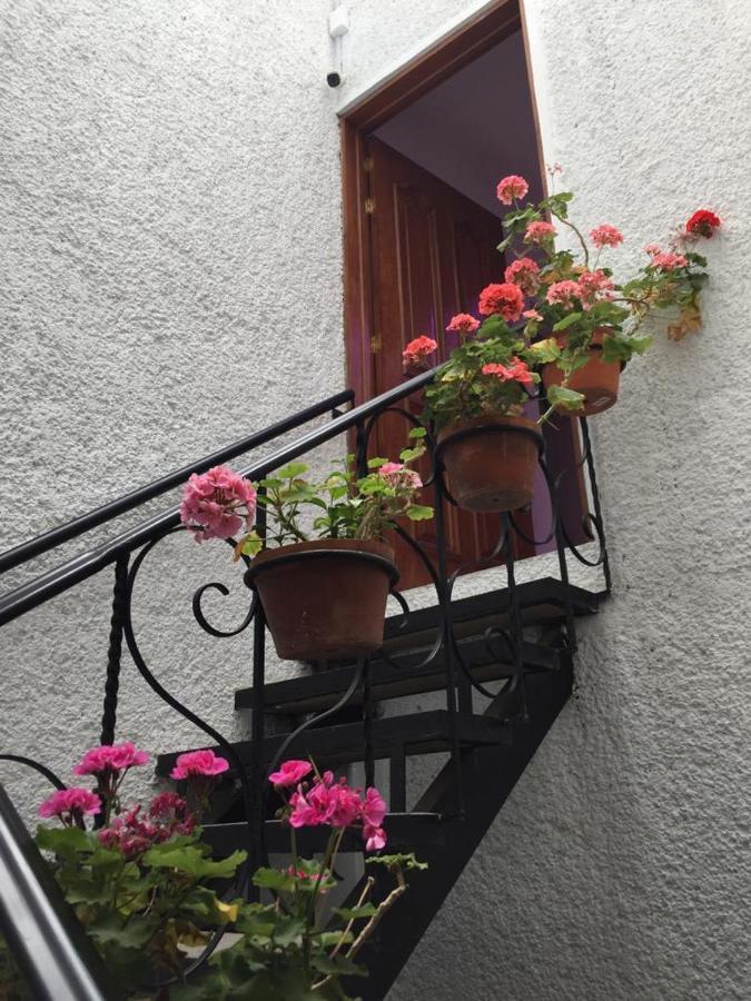 Cozy Private Albergue Cidade do México